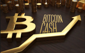 Bitcoin Cash - прогноз цены 2018-2019