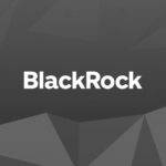 BlackRock назвав біткоїн унікальним інструментом хеджування глобальних ризиків