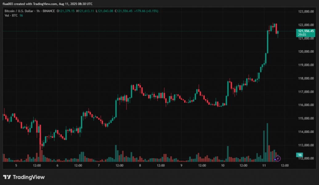 Годинний графік BTC/USD на Binance