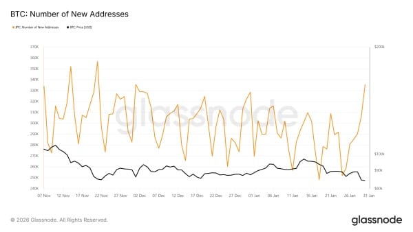 Nouvelles adresses sur le réseau Bitcoin