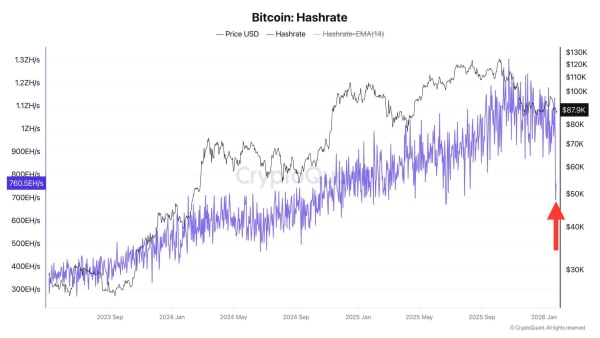 Puissance de hachage du Bitcoin. Source : CryptoQuant.