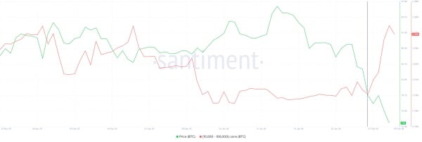 Accumulation de bitcoins par les baleines