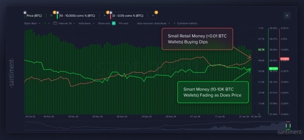 Bitcoin : Grands investisseurs individuels contre petits investisseurs