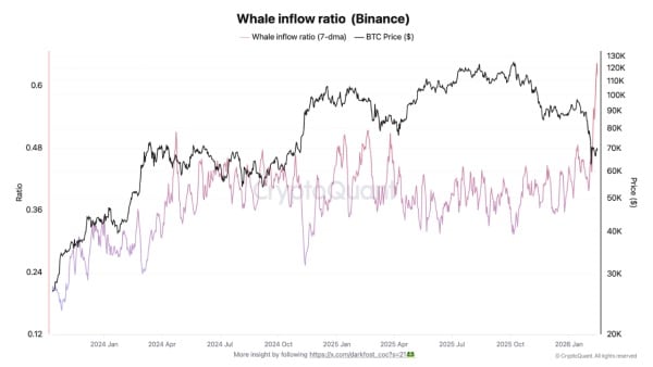 Ratio d'afflux de baleines (Bitcoin). Source : CryptoQuant
