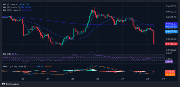 Цена Биткоина, Анализ цен, Анализ рынков