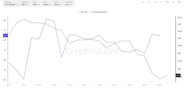 Les baleines achètent <span class=