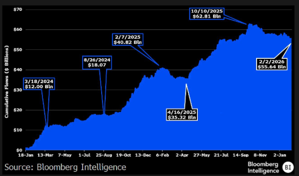Les entrées nettes totales dans les ETF Bitcoin ont culminé à 63 milliards de dollars avant de retomber à 53 milliards de dollars.
