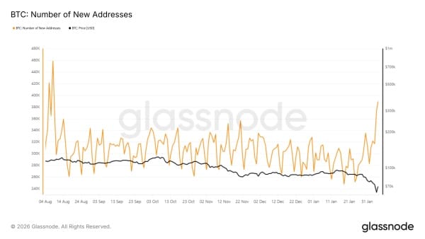Nouvelles adresses Bitcoin