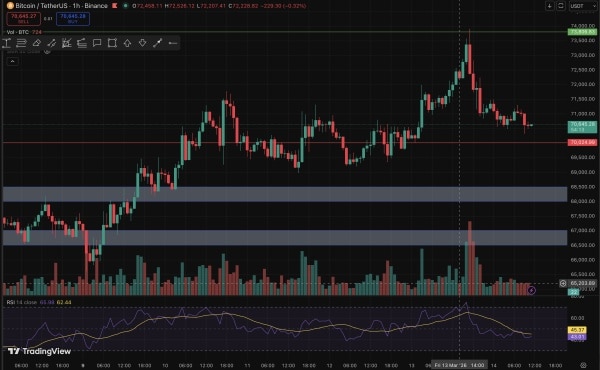 Ціна Біткоіна, Ринки, Аналіз цін