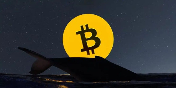 Інвестор, який купив біткоїни за низькою ціною 13 років тому,&hellip;