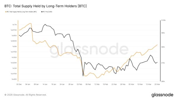 Об'єм біткоїнів у LTH