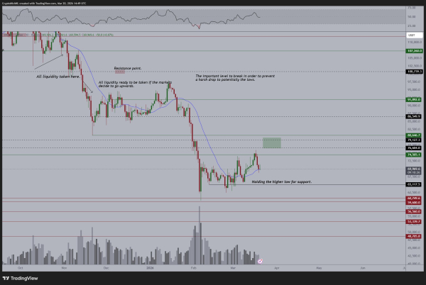 Ціна Біткоіна, Аналіз ринків