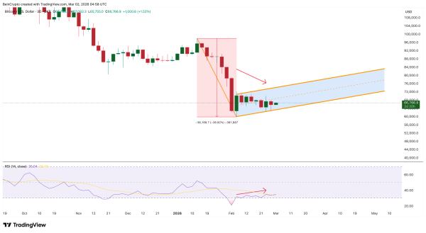 Ведмежа структура ціни