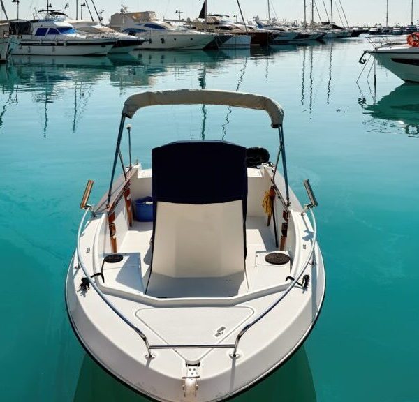 Як стати капітаном: повний огляд навчання в судношколі «Либідь-А»