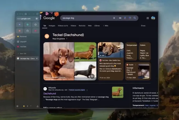 Битва браузерів: знаходь ідеальнішу заміну Chrome та Safari вже сьогодні 30
