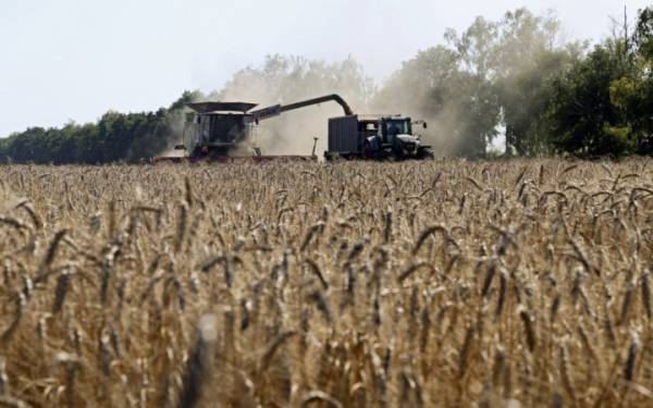 Україна у серпні вивезла за кордон 900 тисяч тонн агропродукції
