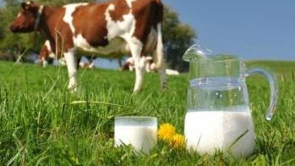 Держпродспоживслужба оштрафувала виробників молочної продукції на 570,7 тис. грн за 7 місяців