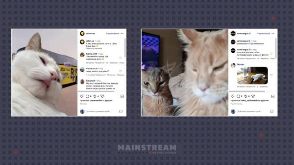 MAINSTREAM: комунікаційні успіхи та інфоприводи липня 19