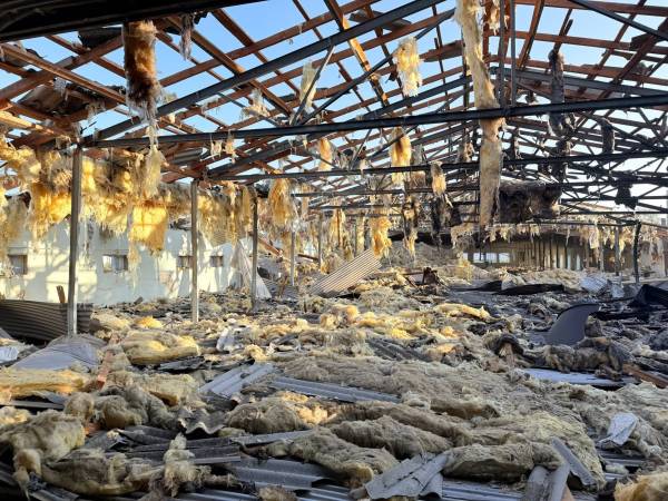 Російський удар знищив пташник “Щасливе курча” з понад 20 тисячами птахів
