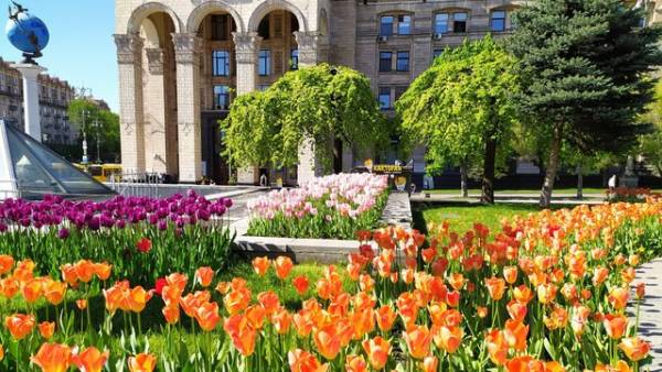 Київ лідирує за сплатою екоподатку: загалом його обсяг зріс на 0,6%