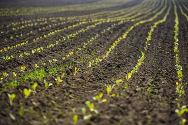 Десять прихованих загроз, що штовхають світ до прірви