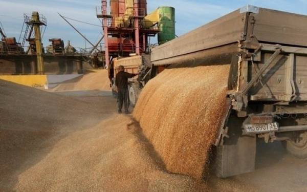 Україна в серпні експортувала 14 мільйонів тонн агропродукції