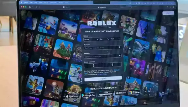 Дрогобицькі шахраї вкрали понад 610 тисяч акаунтів Roblox